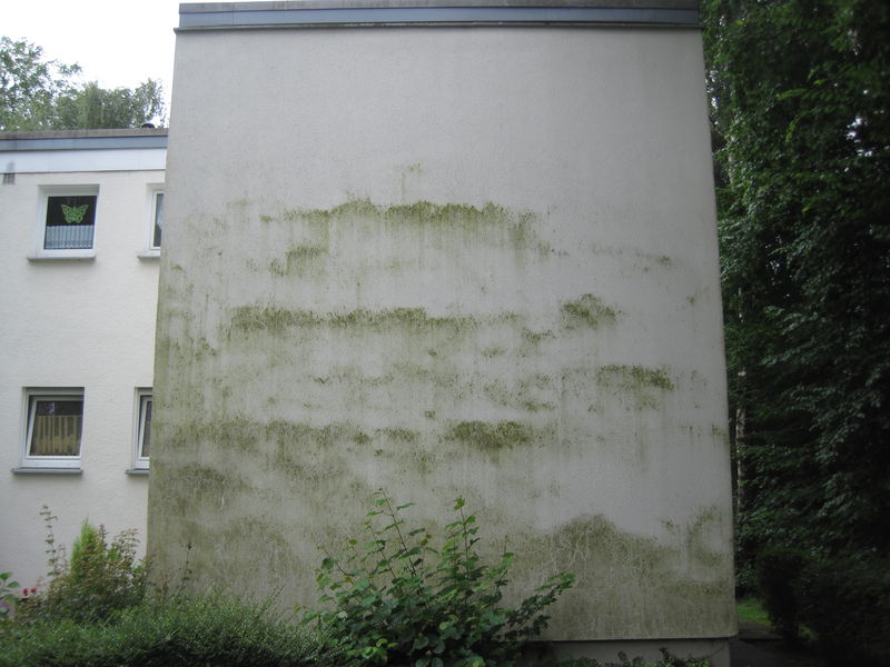 morsche balken stabilisieren